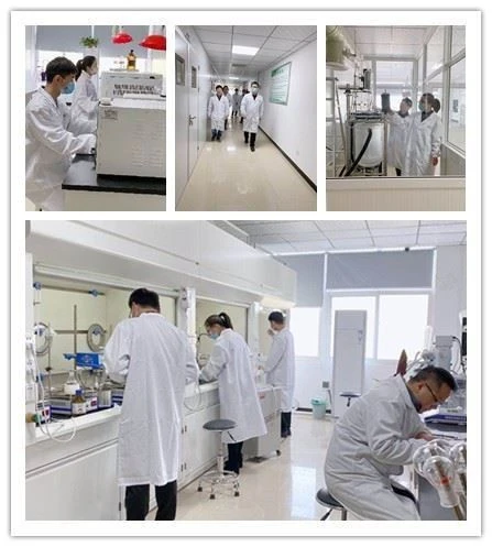 CAS:24697-74-3丨Leonurine Hydrochloride