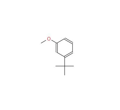 CAS:33733-83-4丨1-tert-butyl-3-metoksybenzen